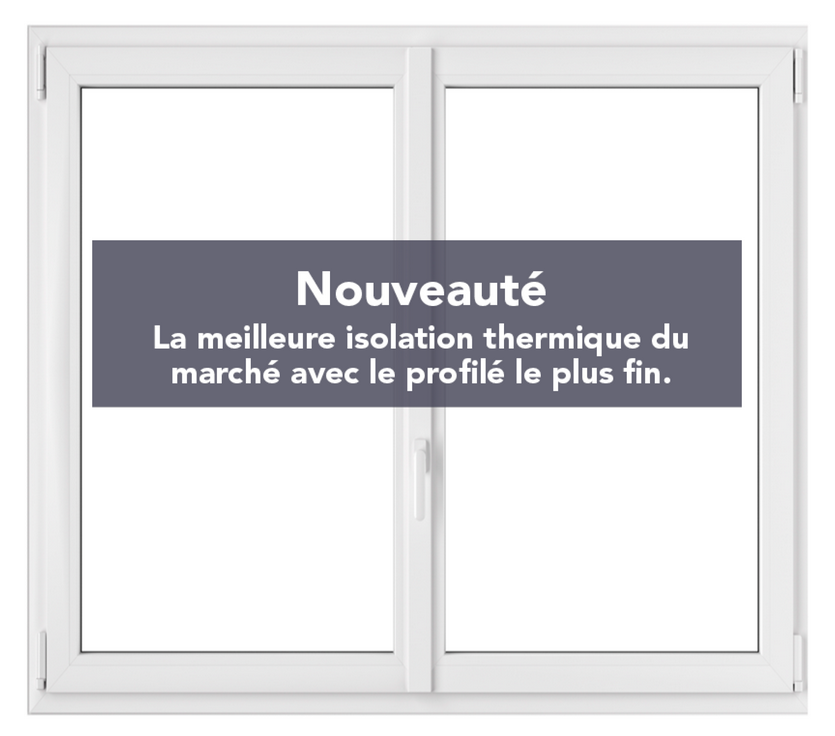 Fenêtre TRYBA PVC T81