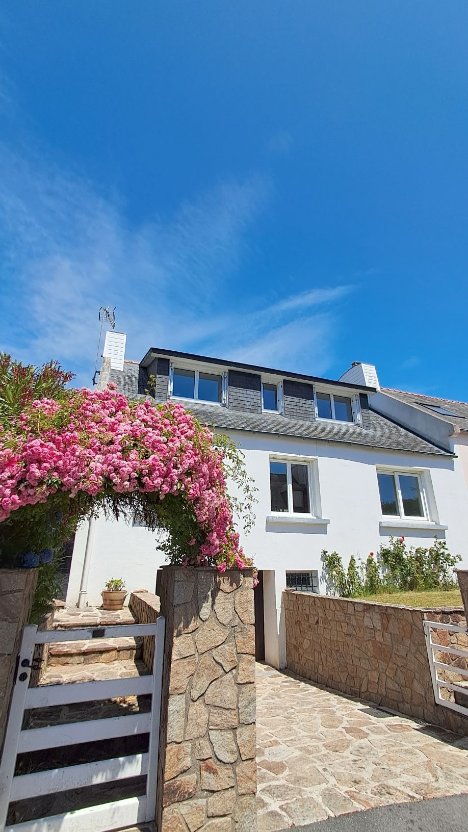 Fenêtres TRYBA PVC T81 Fenêtres TRYBA H81 PVC en blanc